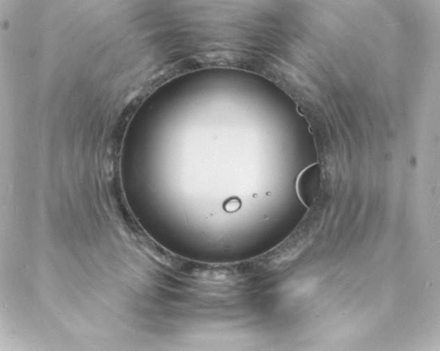 X0000088130751200705291332