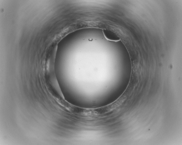 X0000088130752200705291332