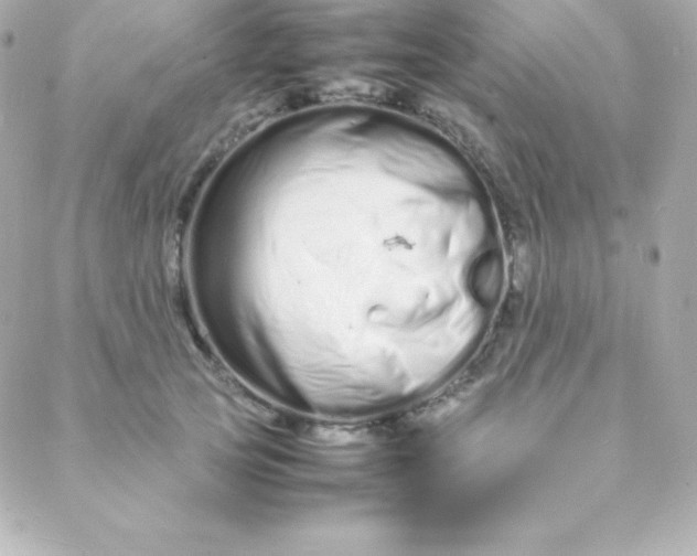 X0000088130753200705291332