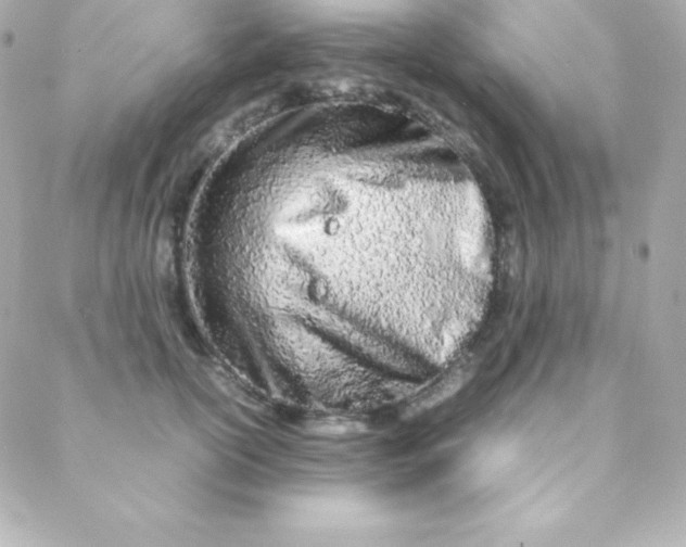 X0000088130754200705291332