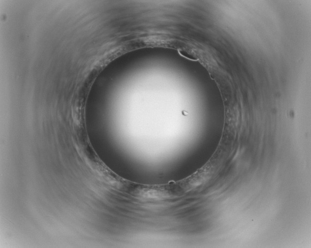 X0000088130755200705291332