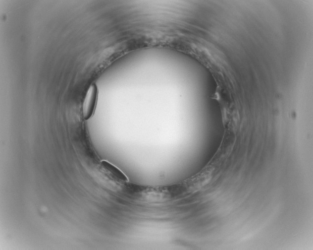 X0000088130756200705291332