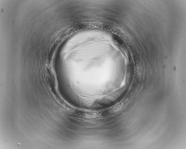 X0000088130757200705291333