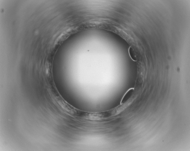 X0000088130758200705291333