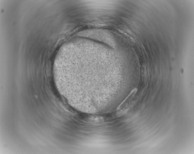 X0000088130760200705291333