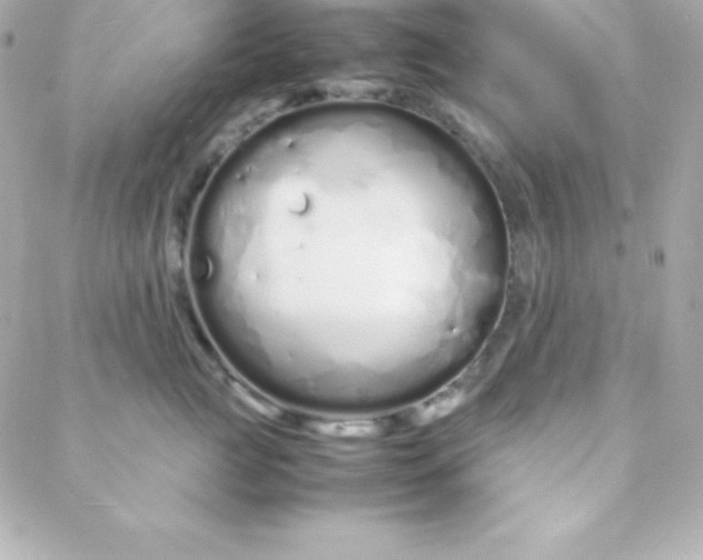 X0000088130761200705291333