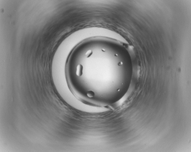 X0000088130762200705291333