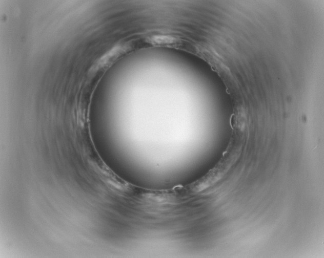 X0000088130763200705291333