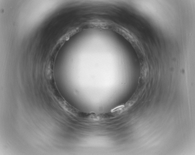 X0000088130764200705291333