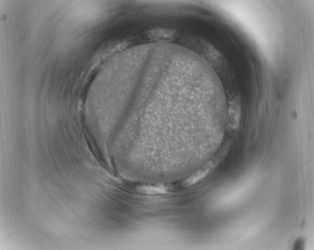 X0000088130765200705291333