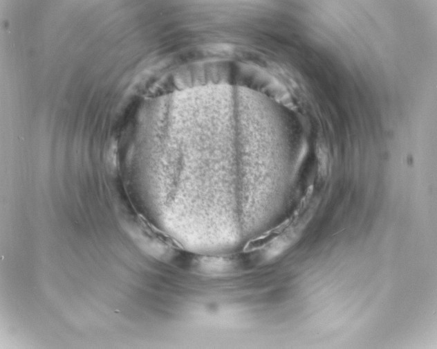 X0000088130766200705291333