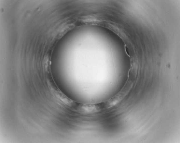 X0000088130767200705291333