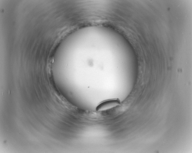 X0000088130768200705291333