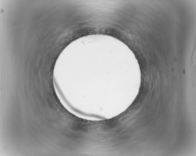 X0000088130769200705291332