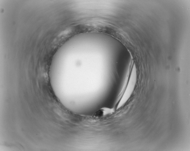 X0000088130771200705291332