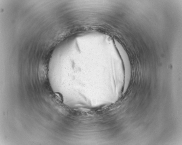 X0000088130772200705291332