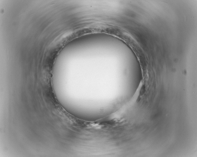 X0000088130773200705291332