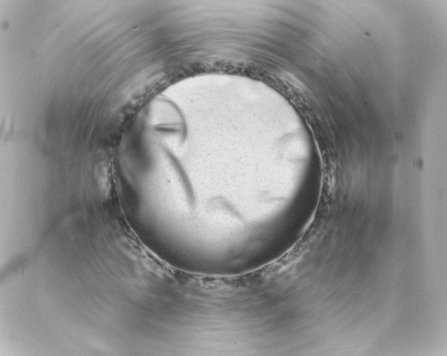 X0000088130774200705291332