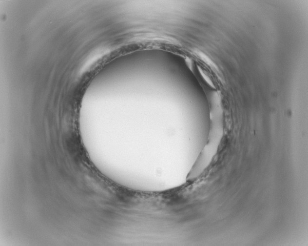 X0000088130775200705291332