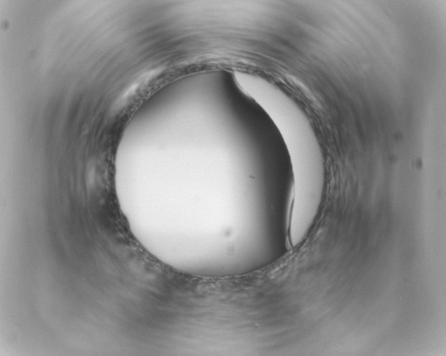 X0000088130776200705291332