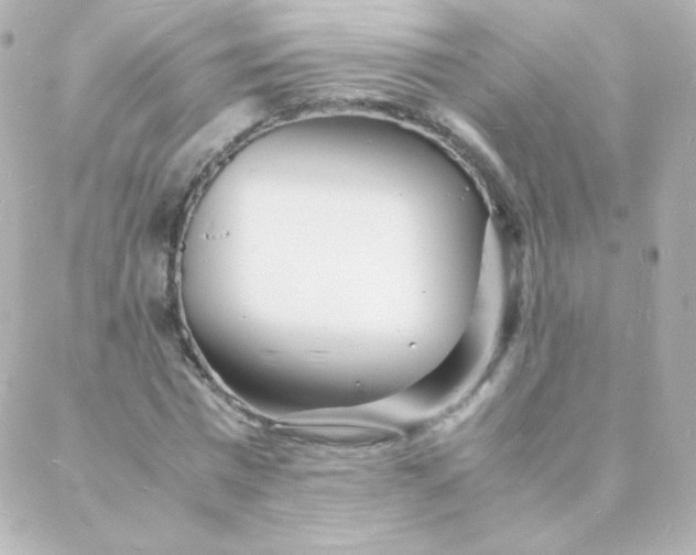 X0000088130777200705291332