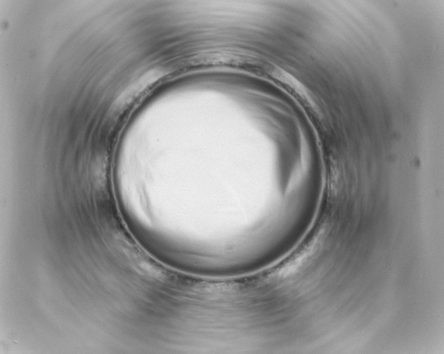 X0000088130778200705291332