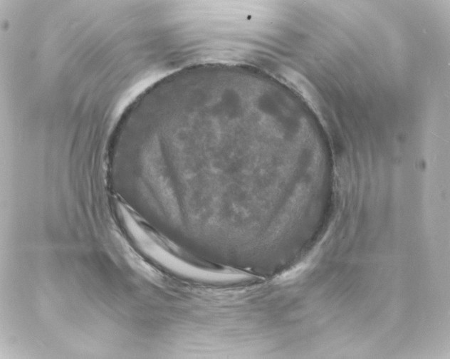 X0000088130779200705291332