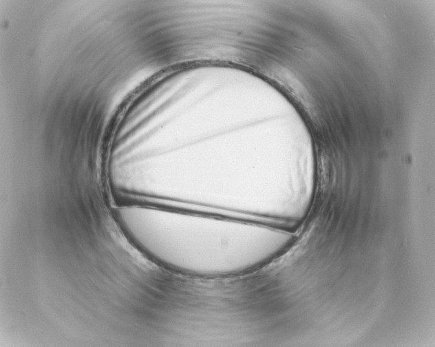 X0000088130780200705291332