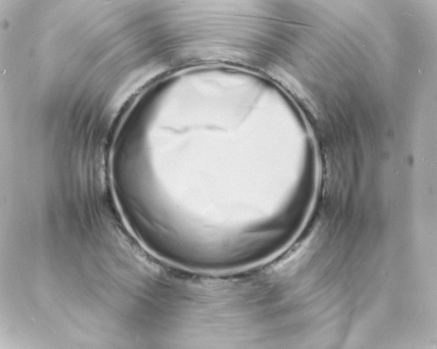 X0000088130782200705291332