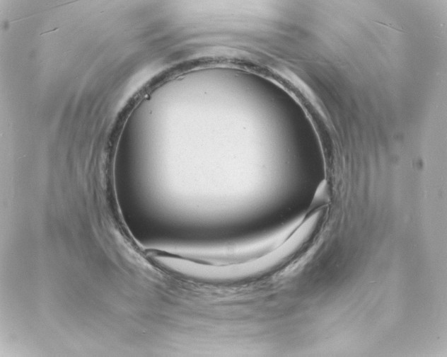 X0000088130783200705291332