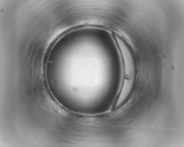 X0000088130784200705291332