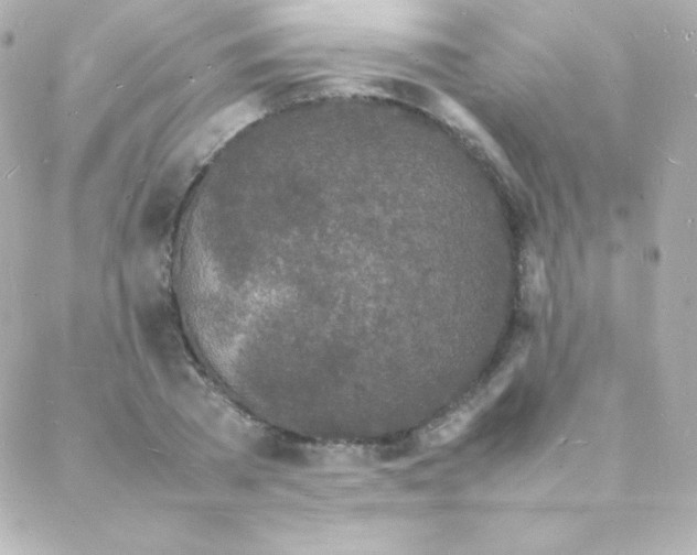 X0000088130785200705291332