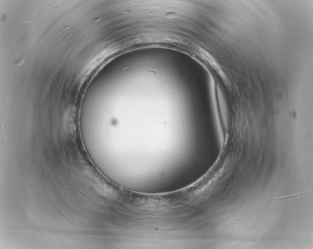 X0000088130786200705291332