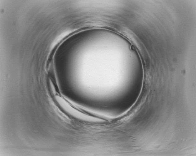 X0000088130787200705291332