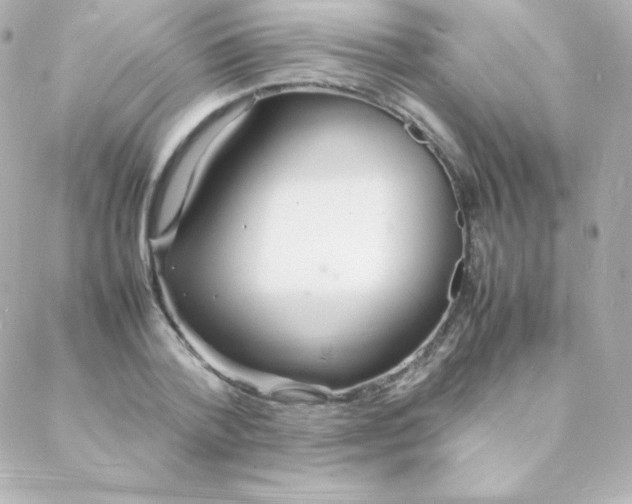 X0000088130788200705291332