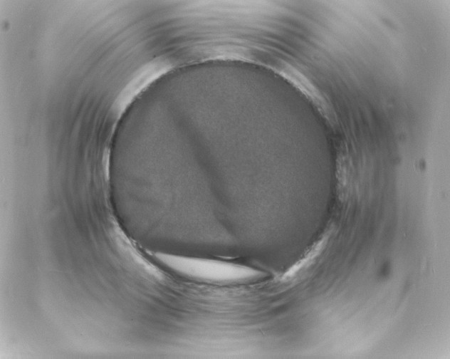 X0000088130790200705291332