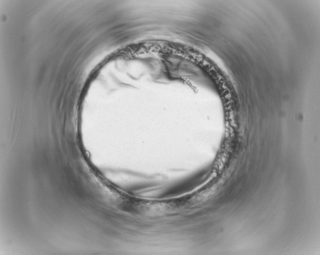 X0000088130791200705291332