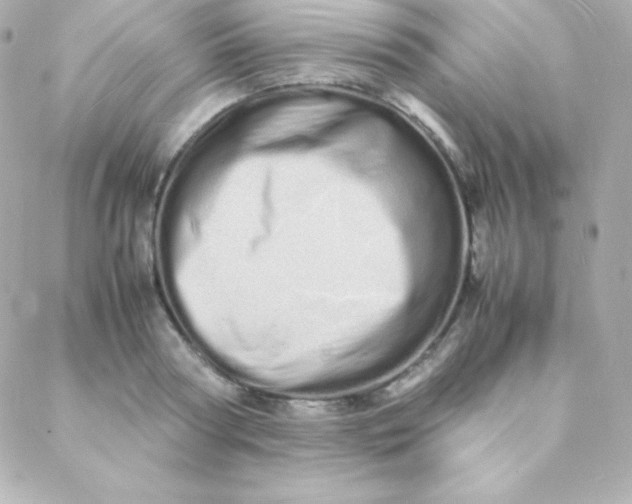 X0000088130794200705291332