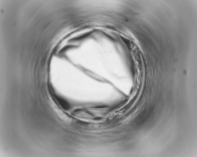 X0000088130795200705291331