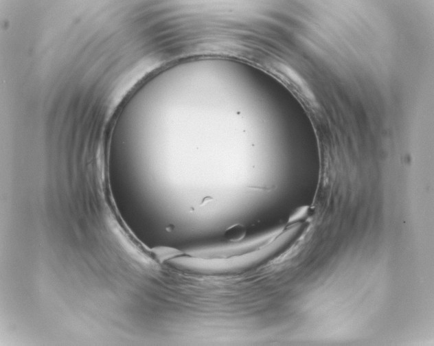 X0000088130796200705291331