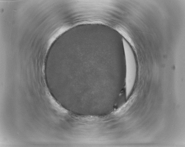 X0000088130797200705291331