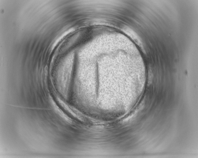 X0000088130798200705291331