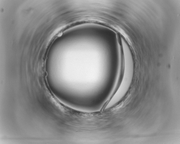 X0000088130799200705291331