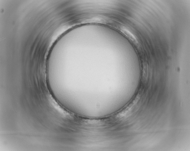 X0000088130800200705291331