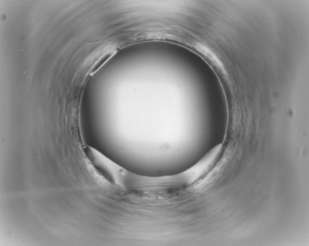 X0000088130801200705291331