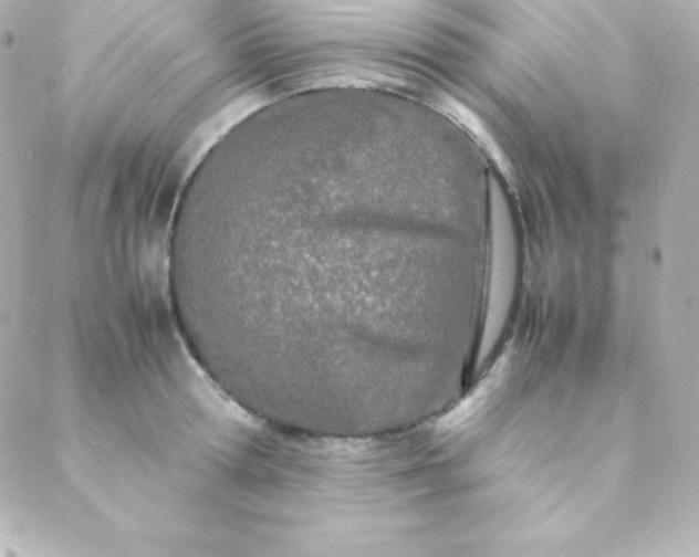 X0000088130802200705291331