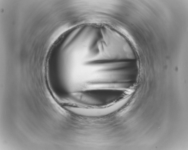 X0000088130803200705291331