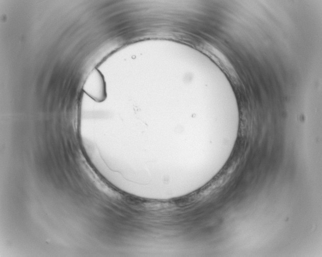 X0000088130804200705291331