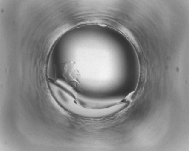 X0000088130805200705291331