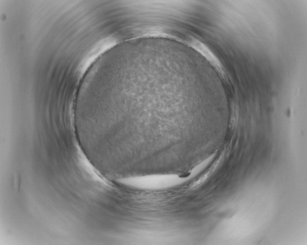 X0000088130806200705291331